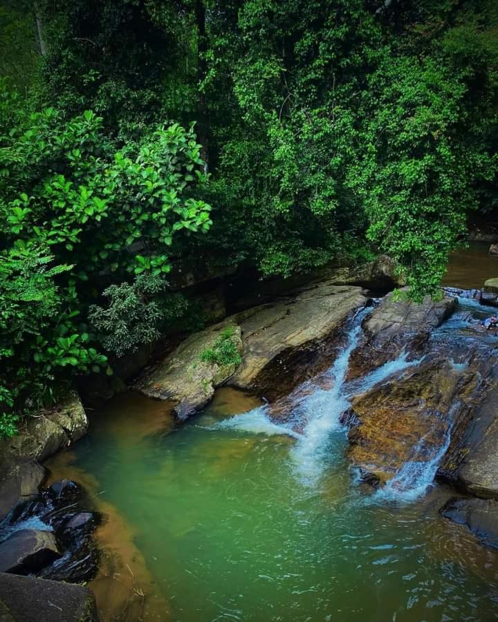 Nisha Homestay Inn Peradeniya Dış mekan fotoğraf
